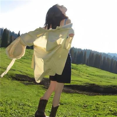 梅林和野兽之书